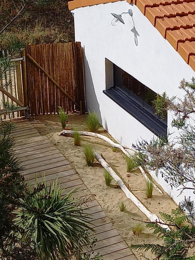 Cot'& Dune - Lodge D'Hote & Spa De Nage Saint-Augustin  Dış mekan fotoğraf