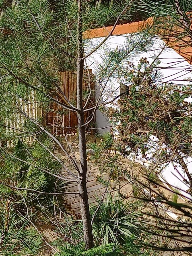 Cot'& Dune - Lodge D'Hote & Spa De Nage Saint-Augustin  Dış mekan fotoğraf