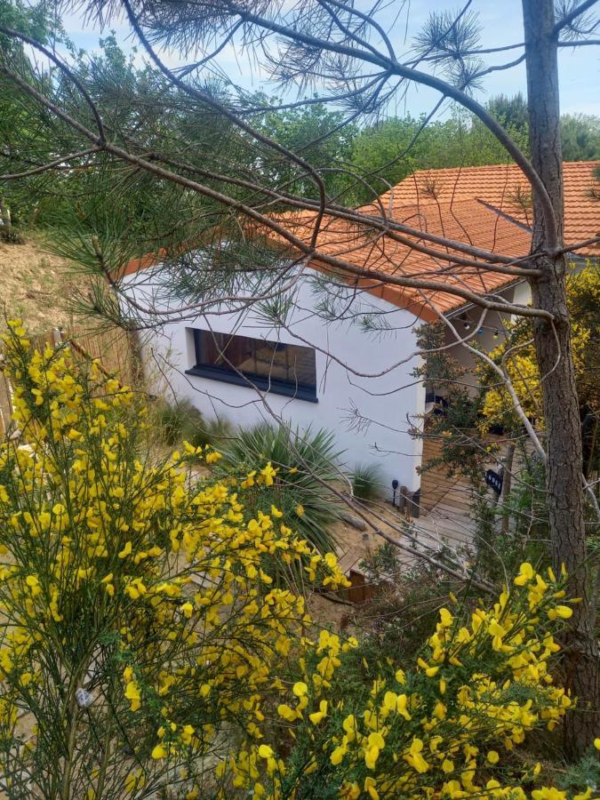 Cot'& Dune - Lodge D'Hote & Spa De Nage Saint-Augustin  Dış mekan fotoğraf